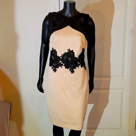 Jax Dresses & Skirts - BRAND NEW JAX WOMEN"S SLEEVELESS KNEE LENGTH DRESS